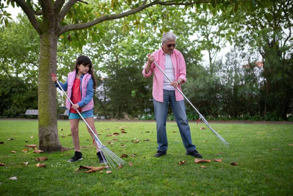 Fall Bermuda Grass Care Guide