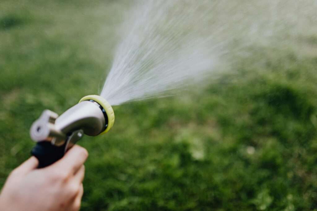 How Often to Water Bermuda Grass