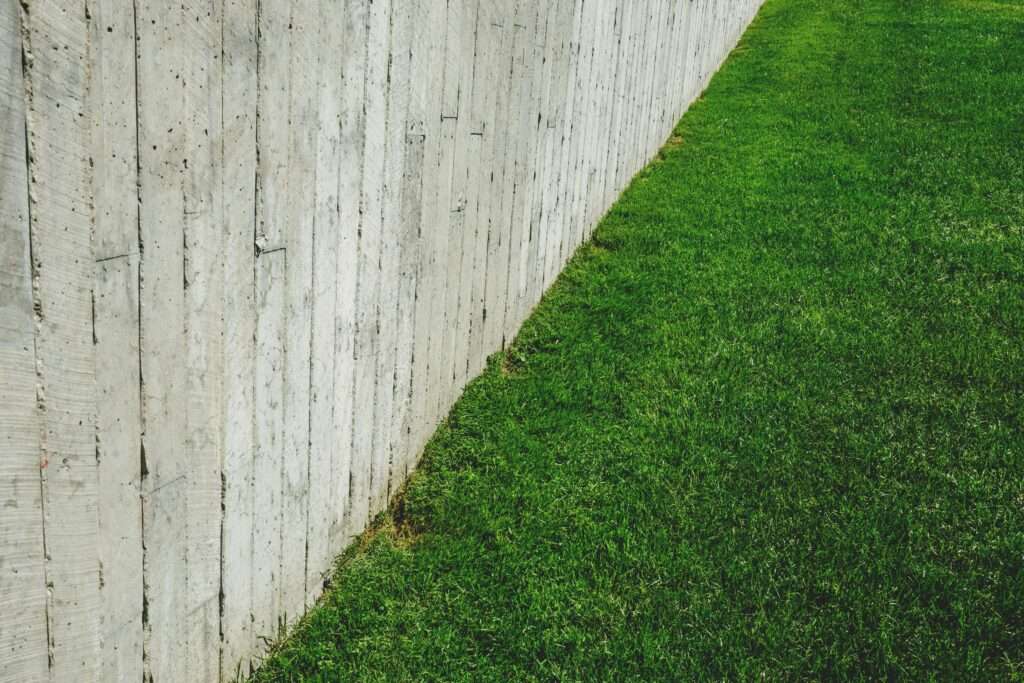 Bermuda Grass for Lawns: The Complete Guide